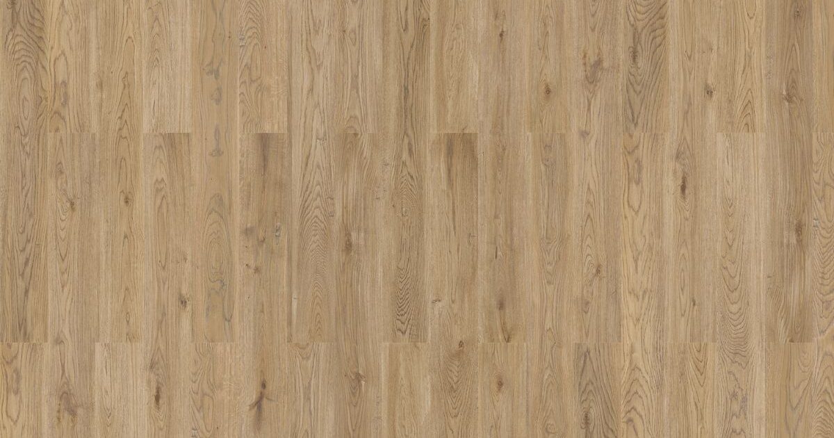 Taylor Maxwell | CO1029 | craft\elements\db\ElementQuery