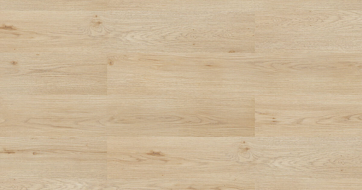 Taylor Maxwell | CO1039 | craft\elements\db\ElementQuery