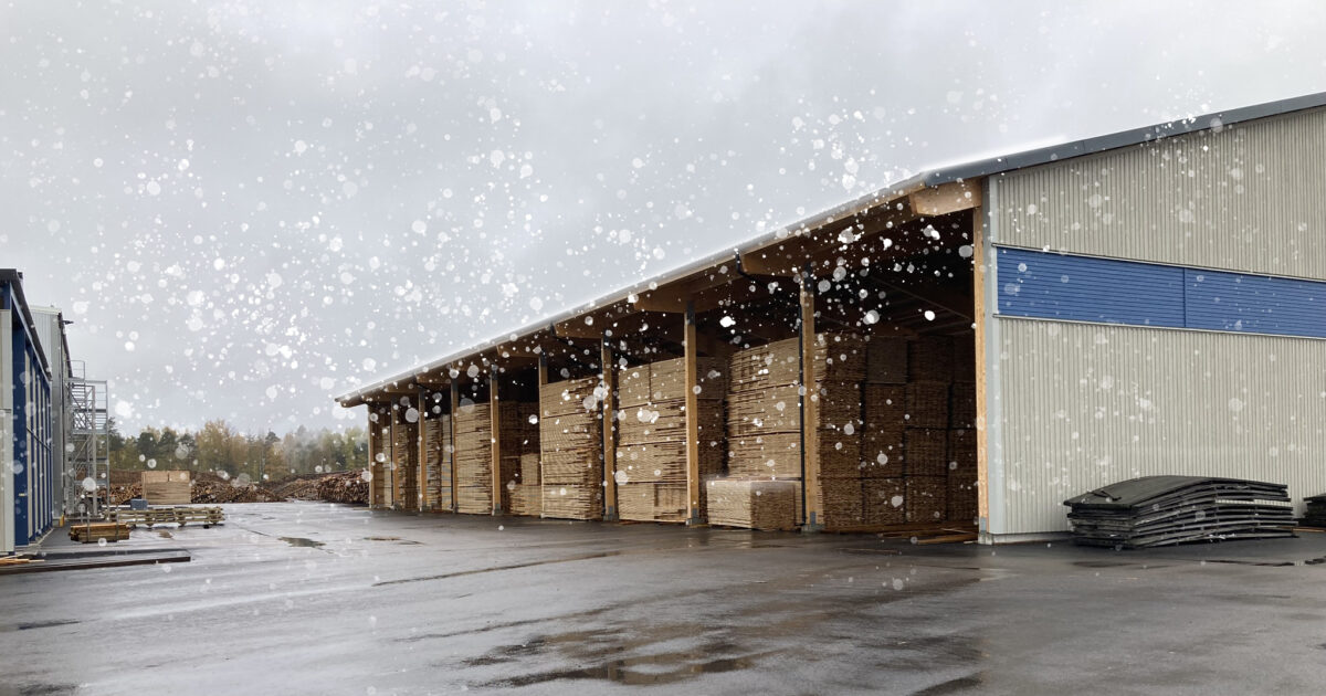 Timber Update December 2023 | Taylor Maxwell